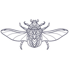 Beautiful Beetle mandala arts isolated on white background