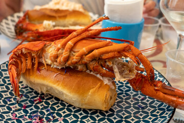 Delicious lobster sandwich in Otranto restaurant Apulia Italy