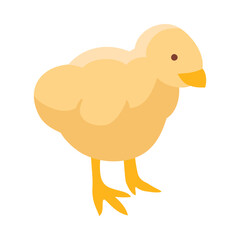 Isometric Chick Illustration