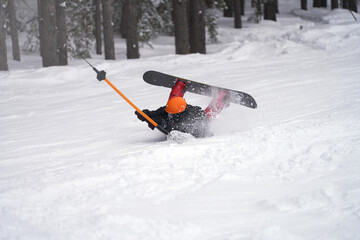Naklejka premium Violation of the rules of transportation on the t-bar. The snowboarder lost his balance, fell, but does not let go of the crossbar and rolls up the slope on his stomach, risking injury.