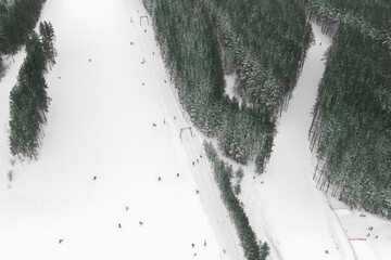 Aerial view of the ski slope among the snow-covered pines with T-bar, skiers and snowboarders....