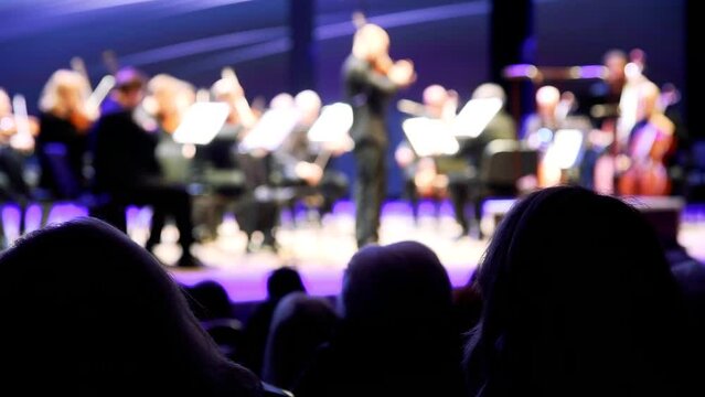 Artists of the symphony orchestra on stage. Selective focus