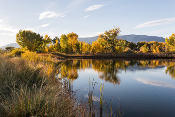 Beautiful autumn lake landscape. Golden fall colors foliage is reflected in the calm water