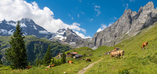 Fototapeta na wymiar The Hineres Lauterbrunnental valley with the Breithorn and Wetterlucke peaks - hotel Obersteinberg.