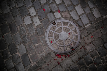 dark palalepiped floor texture with telephone manhole cover and red leaves