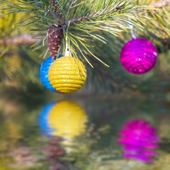 closeup fir tree toys on fir tree branch reflected in water, christmass outdoor background