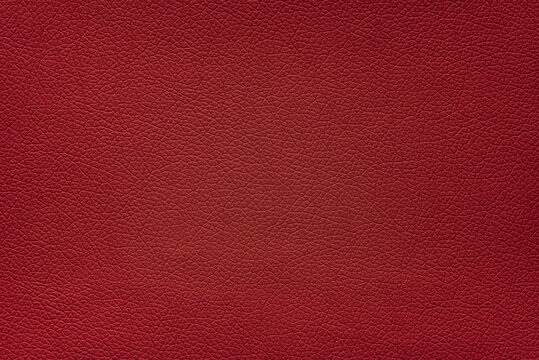 Close up carmine red color leather texture.