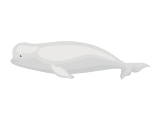 gray beluga design