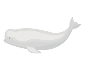 cute beluga illustration