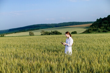 Fototapeta na wymiar Scientist technologist in a white coat on a young wheat field writes down data on this year's crop on a smart tablet
