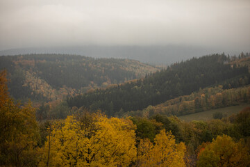 polish autumn landscape © Zuzanna
