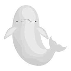big beluga design
