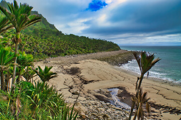 The unspoiled coast of Kahurangi National Park, West Coast, South Island, New Zealand, along the Heaphy Track, where the rainforest with nikau palms meets the sea
