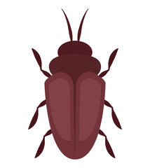 colored cockroach design