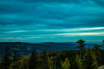 Obraz premium Waldlandschaft Abenddämmerung 