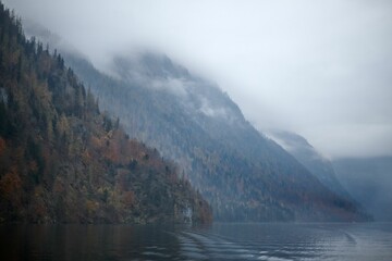 Beautiful landscape of a lake and forest covered by fog during the daytime