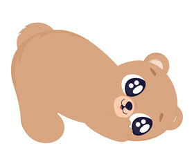 beautiful bear illustration