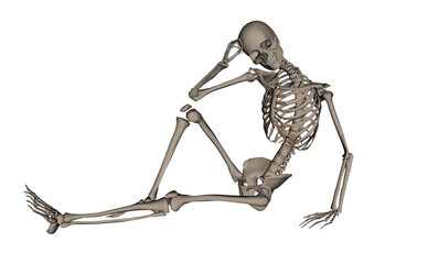 Handsome human skeleton - 3D render - 547269262