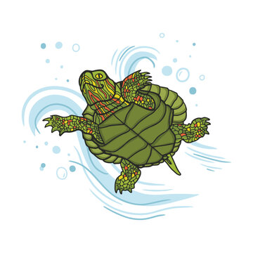 Painted Turtle Swimming Vector Illustration 
