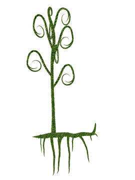 Asteroxylon mackiei prehistoric plant - 3D render