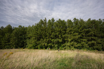 Mother and her kids hiking trough forest.