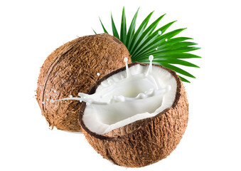 Popular coconuts with health benefits png. - obrazy, fototapety, plakaty