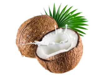 Foto op Canvas Popular coconuts with health benefits png. © pongpakorn Photogarp