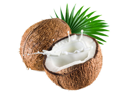 Popular coconuts with health benefits png.