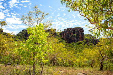 Kakadu Nourlangie Region from Kunwarddehawarde Lookout