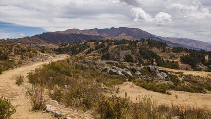 Fototapeta na wymiar Dry andean landscape, with dirt road and large mountains Cusco, Peru