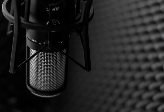 Micr&oacute;fono Profesional