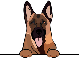 Funny German Shepherd dog with paws over a white wall, in a pocket vector illustration. Funny dog smiling. Cute dog head on a white background. Hand-drawn mascot. Smiling dog muzzle. BFF.