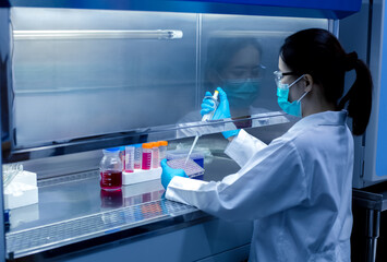Scientist used a micro pipette in sample preparation in laboratory fume hood for bioassay of in...