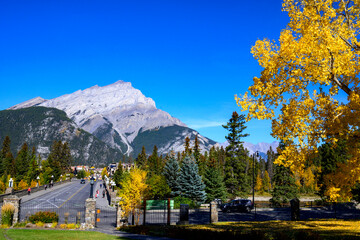View of Banff Town in Autumn with Cascade mountain in the background. - obrazy, fototapety, plakaty