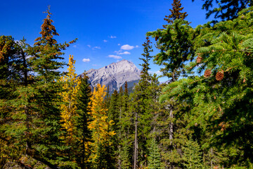 View of forest and mountain landscape in Autumn in Banff National Park