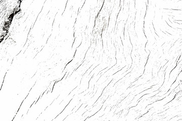 Abstract wood texture and background.