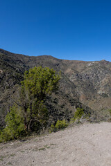 Mirador Tres Valles  - Santuario de la Naturaleza Yerba Loca - Traveling Chile