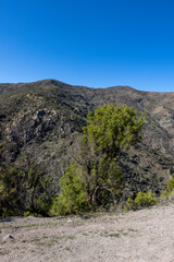 Mirador Tres Valles  - Santuario de la Naturaleza Yerba Loca - Traveling Chile