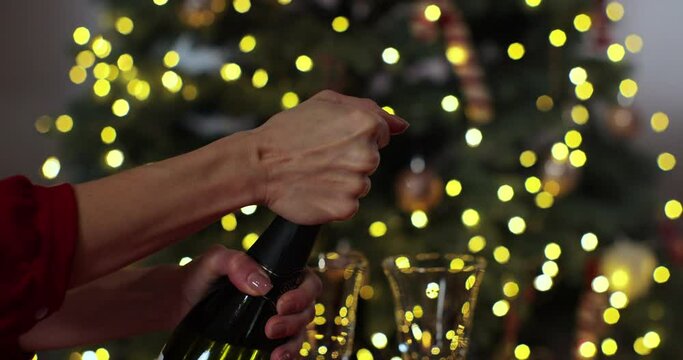Closeup of woman hands opening bottle of champagne on background of Christmas . Woman hands open bottle of sparkling wine with plastic stopper Christmas tree bokeh background.