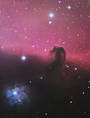 The Horsehead Nebula in the constellation Orion