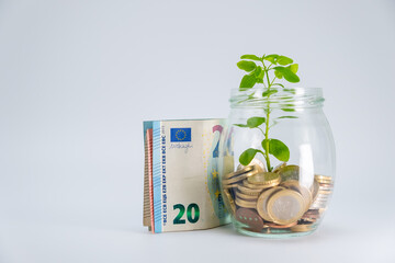 Euro banknotes on a white background. Twenty euro banknote concept next to a glass jar with plant...