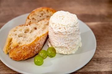 Cheese collection, French soft Chabichou of Poitou cheese made from goat milk in region Nouvelle-Aquitaine, France