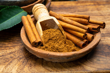 Indian spices collection, dried aromatic cinnamon barks and another spices in clay bowls