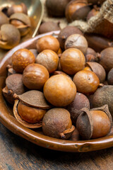 New harvest of ripe fresh Australian macadamia nuts in shell with leaves