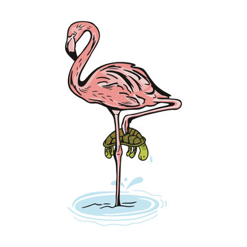 Flamingo catches turtle cartoon illustration 