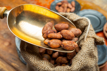 Cocoa or cacao beans, used in hot chocolate drink, chocolate, butter and solids