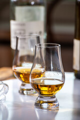 Tasting of whiskey, tulip-shaped tasting glasses with dram of Scotch single malt or blended whisky on white table