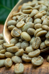 Green coffee beans from South America coffee producing region, from Colombia and Brazil with mountain ranges and climate ideal for coffee growing