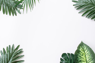 Tropical palm and monstera leaves isolated on white background. Leaves in flatlay style. © Sunshine Studio