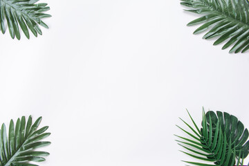 Naklejka na ściany i meble Tropical palm and monstera leaves isolated on white background. Leaves in flatlay style.